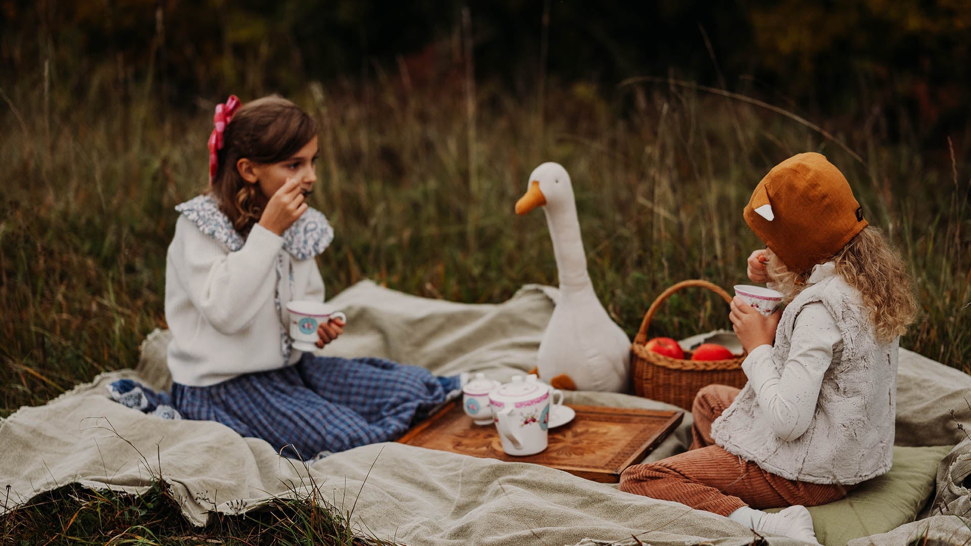 Little fairy - tale picnic