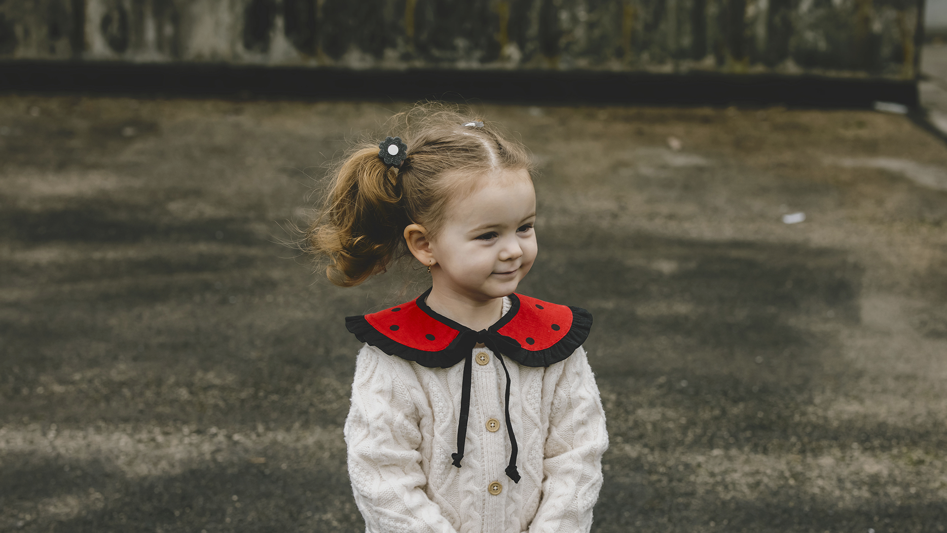 Little Ladybird