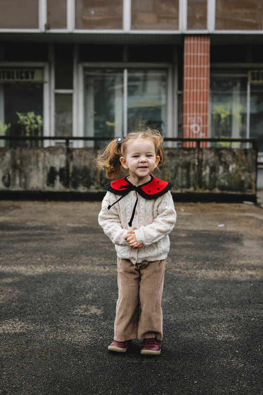 Linen Peter Pan Collar with Ruffle Ladybird