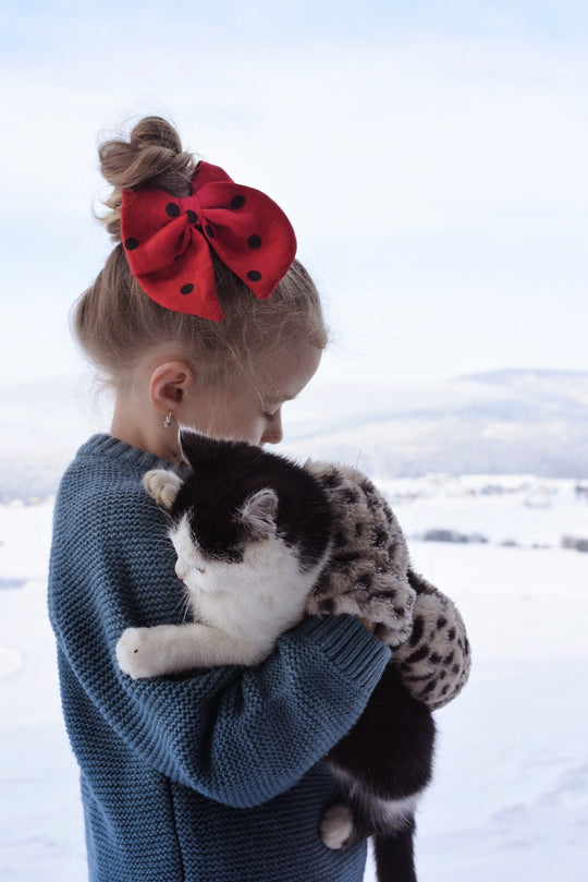 Linen Hair Bow Ladybird Ragazza