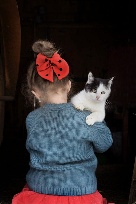 Linen Hair Bow Ladybird Ragazza