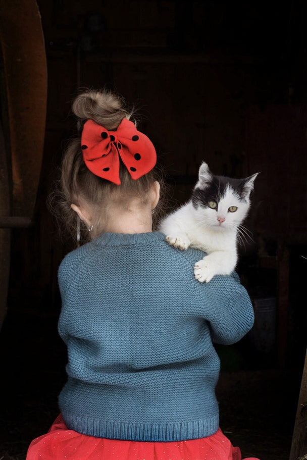 Linen Hair Bow Ladybird Ragazza